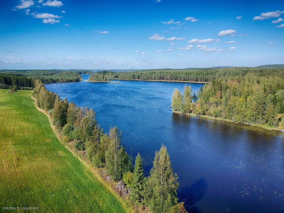 5 010 M Lamperilantie 690 72100 Kuopio Vapaa Ajan Tontti Myynnissa Oikotie 15365125