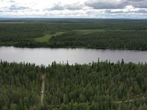 Kitinen (Peurasuvanto)