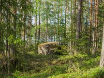 Varkaus, Miehalanjärvi, Sopalanniementie