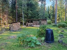 Marja pensaita pihapiirissä