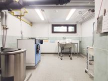 Taloyhtiön pesutupa