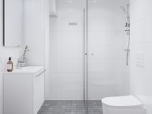 Visualisointi kodin kylpyhuoneesta hintaan kuuluvalla Lähde-sisustustyylillä