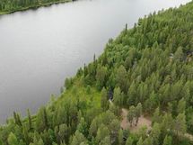 Kitisen ranta-aluetta