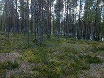 Suomussalmi, Kaunisniemi-Merkkivirta