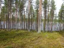 Rovaniemi-Venejärvi