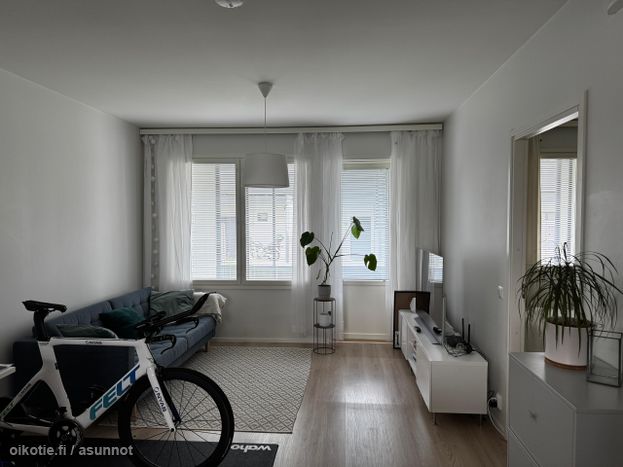 Asuntoilmoituksen kuva