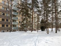 Talojen keskellä olevaa piha-aluetta