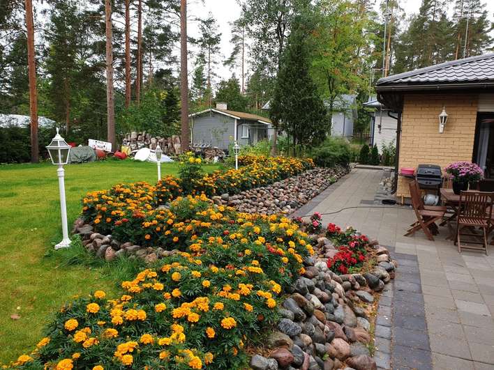 Kohdekuva