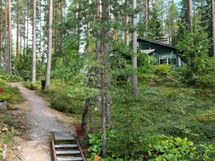 Päämökille menevää maastoa/polkua.