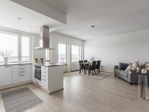 Olohuone ja keittiö